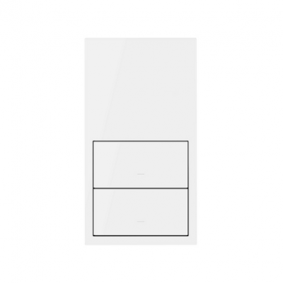 Panel 2-krotny: 2 klawisze; biały mat 10020213-230
