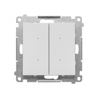 SWITCH D – Sterownik przyciskowy oświetleniowy podwójny, sterowany smartfonem (moduł); Jasnoszary mat